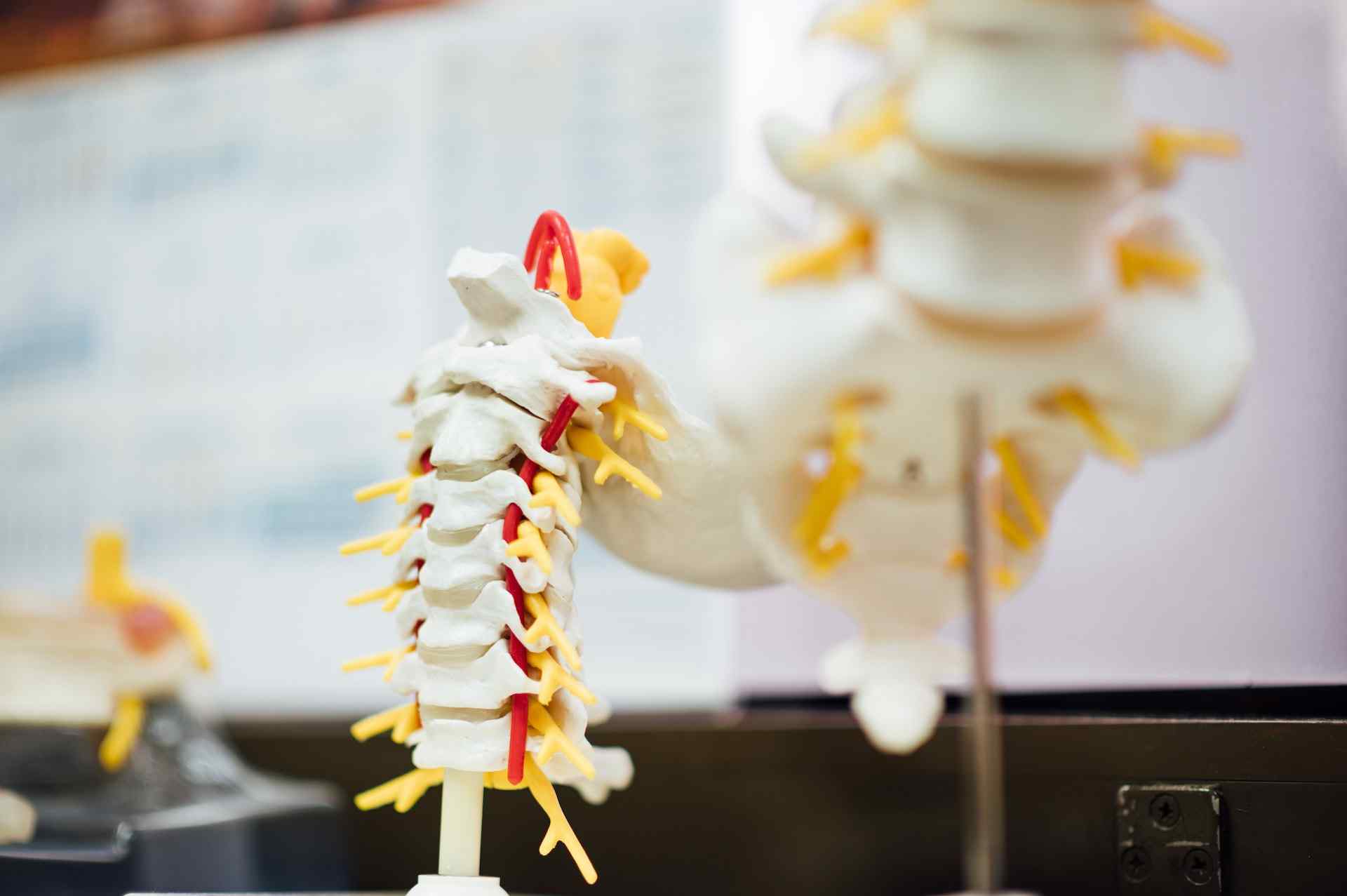 osteopati-nedir